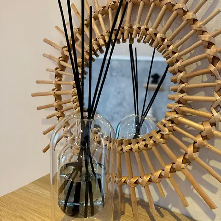 Les 6 Cordiers Au Coeur De Appartamento Mulhouse